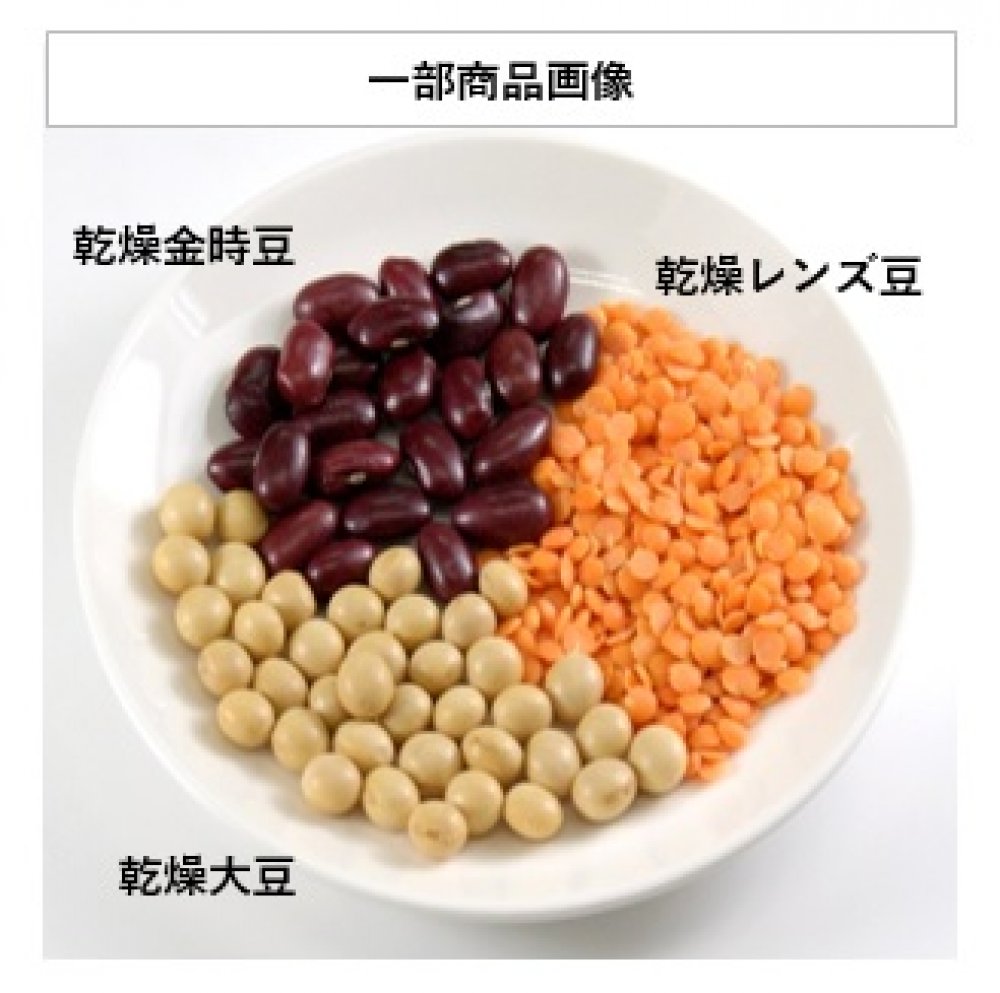 SNF豆製品 各種